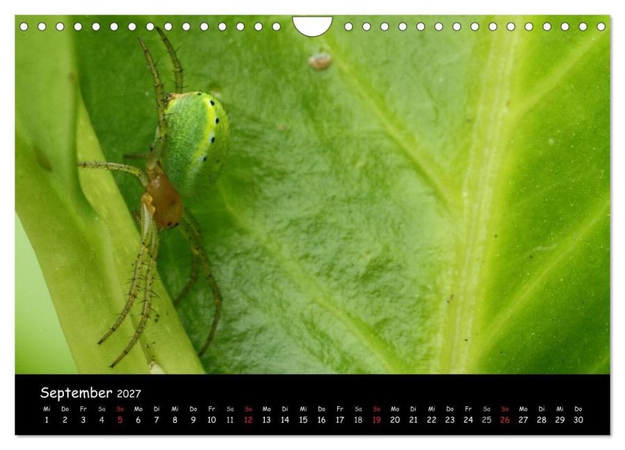 InsideView 14