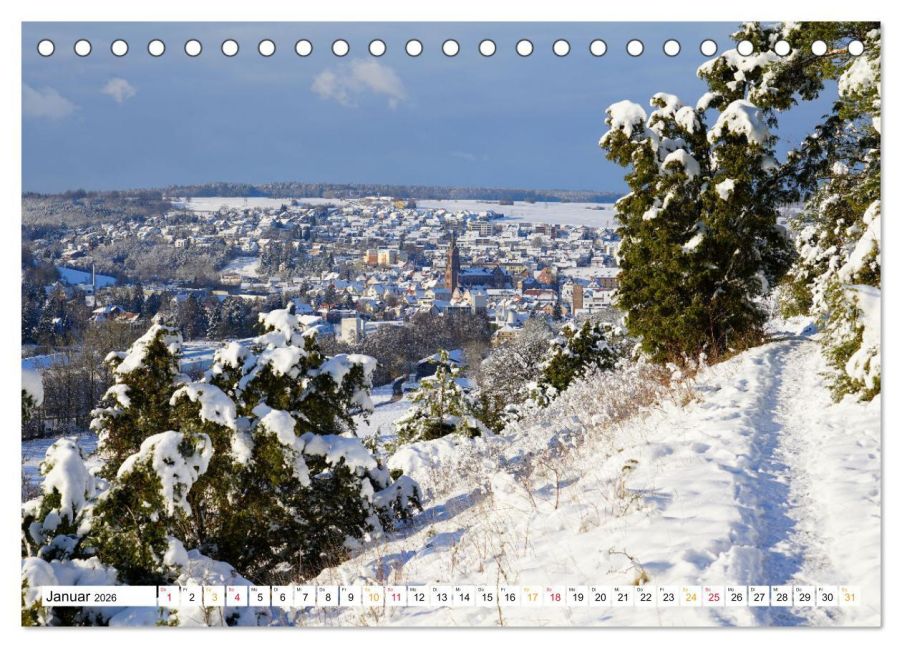 InsideView 6
