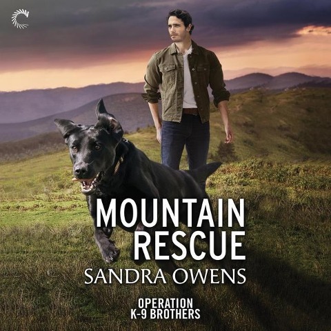 Mountain Rescue Lib/E - Sandra Owens