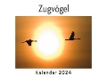 Zugvögel (Wandkalender 2024, Kalender DIN A4 quer, Monatskalender im Querformat mit Kalendarium, Das perfekte Geschenk) - Anna Müller