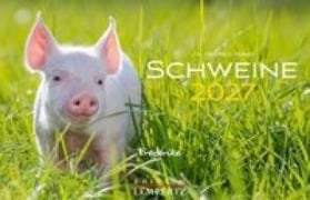 Cover-Bild zum Titel 'Schweine Kalender 2027' von 'J. -L Hubert Klein'