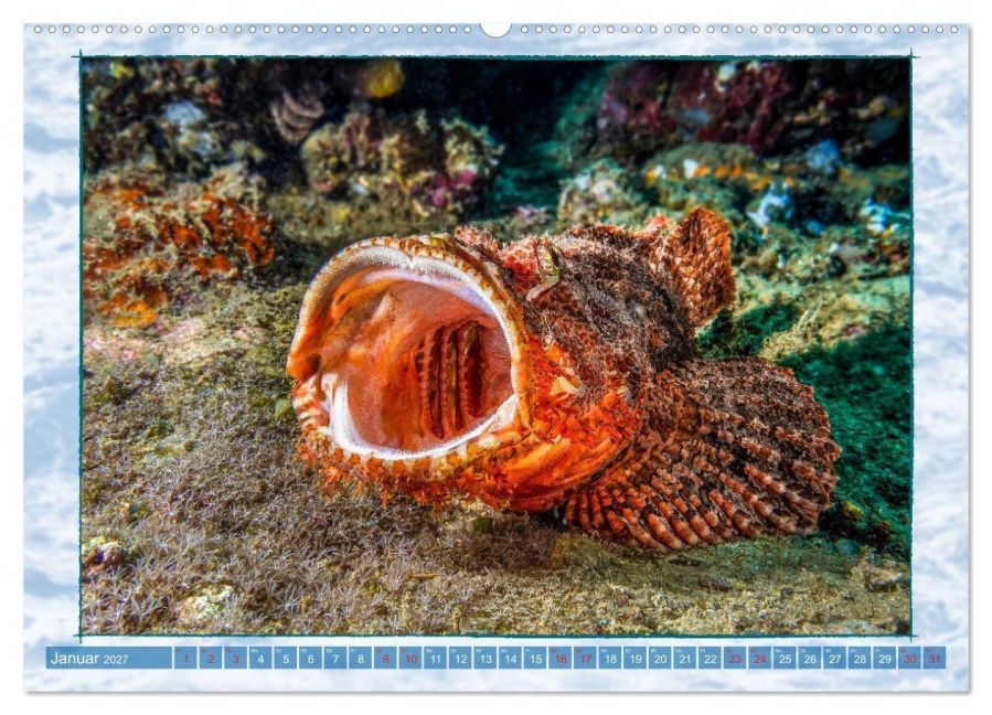 InsideView 6