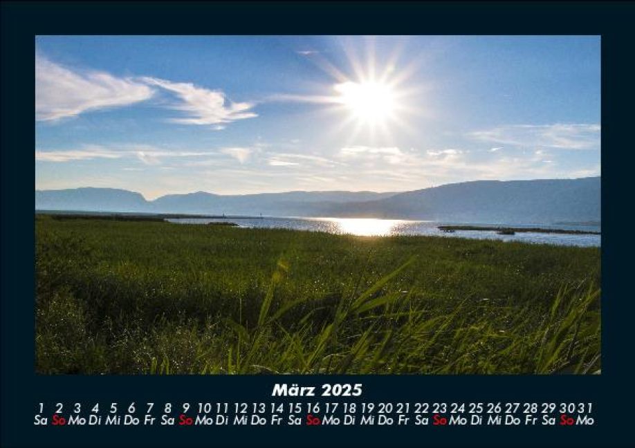 InsideView 7