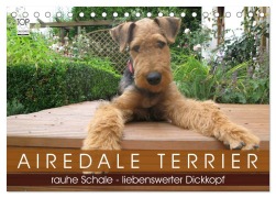 Airedale Terrier (Tischkalender 2026 DIN A5 quer), CALVENDO Monatskalender - Gaby Rottmann