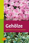 Cover-Bild zum Titel 'Taschenatlas Gehölze' von 'Martin Haberer'