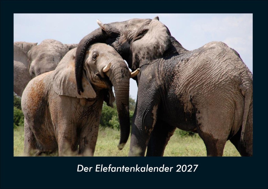 Der Elefantenkalender 2027 Fotokalender DIN A4 - Tobias Schmitt, Kevin Heber