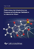 Cover-Bild zum Titel 'Photoinduzierte intramolekulare Prozesse auf ultrakurzer Zeitskala in kondensierter Phase' von ''