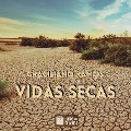 Cover-Bild zum Titel 'Vidas secas' von 'Graciliano Ramos'
