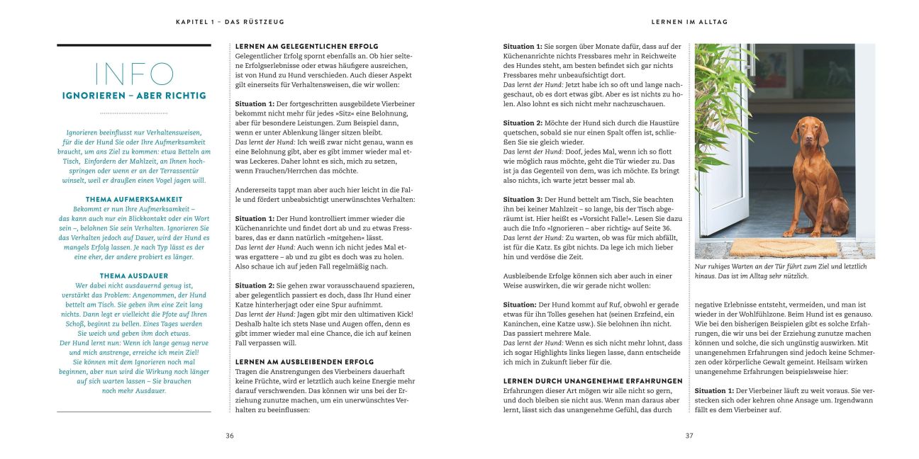InsideView 5