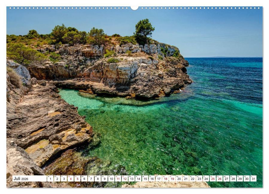 InsideView 12