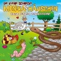 Die kleine Schnecke Monika Häuschen 68: Warum blinzeln Blindschleichen? - Kati Naumann, Klaus Brotmann