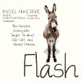 Flash: The Homeless Donkey Who Taught Me about Life, Faith, and Second Chances - Rachel Anne Ridge