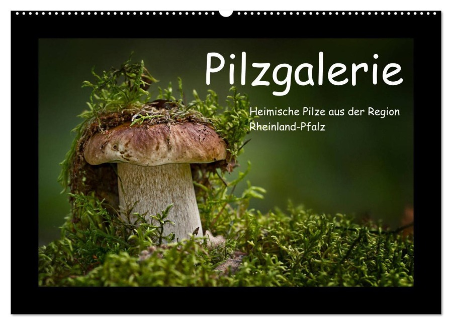 Pilzgalerie - Heimische Pilze aus der Region Rheinland-Pfalz (Wandkalender 2026 DIN A2 quer), CALVENDO Monatskalender - Beate Wurster