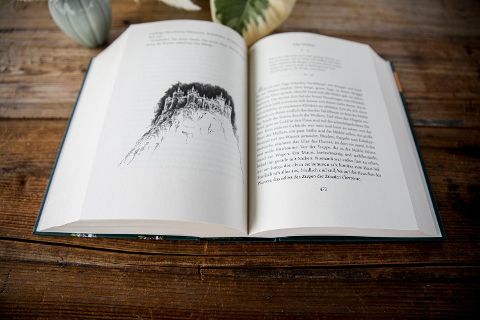 InsideView 2