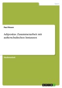 Cover-Bild zum Titel 'Adipositas. Zusammenarbeit mit außerschulischen Instanzen' von 'Paul Rosen'