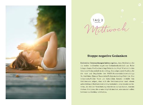 InsideView 3