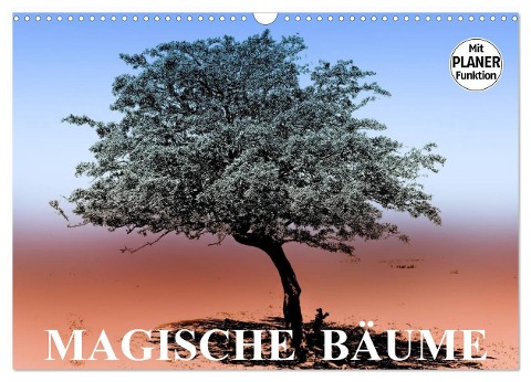 Magische Bäume (Wandkalender 2024 DIN A3 quer), CALVENDO Monatskalender - Elisabeth Stanzer