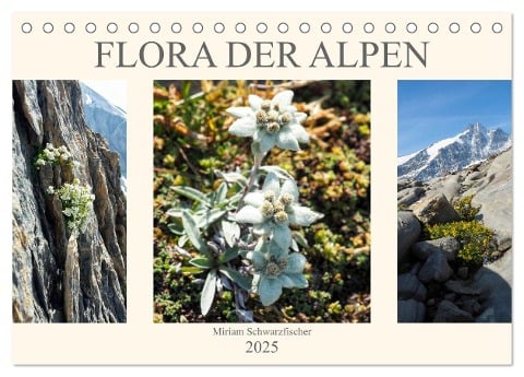 Flora der Alpen (Tischkalender 2025 DIN A5 quer), CALVENDO Monatskalender - Fotografin Schwarzfischer Miriam