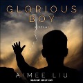 Cover-Bild zum Titel 'Glorious Boy Lib/E' von 'Aimee Liu'