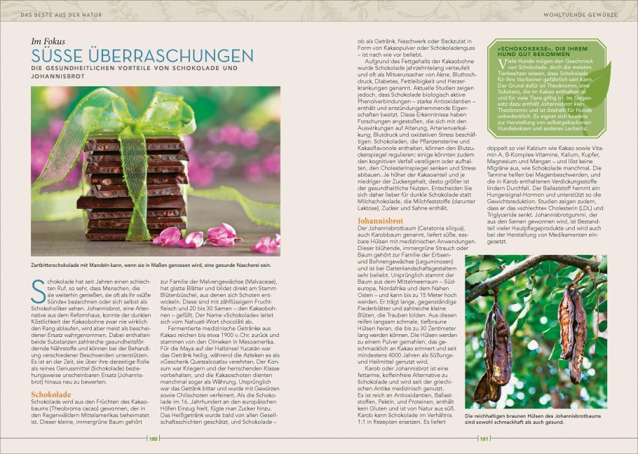InsideView 6