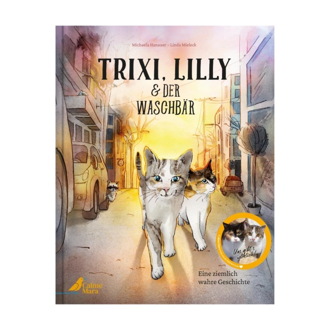 Trixi, Lilly und der Waschbär - Michaela Hanauer