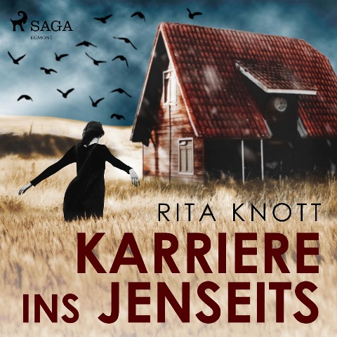 Karriere ins Jenseits (Ungekürzt) - Rita Knott