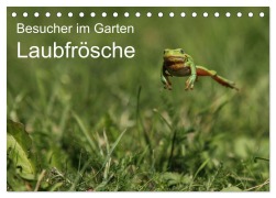 Cover-Bild zum Titel 'Besucher im Garten - Laubfrösche (Tischkalender 2026 DIN A5 quer), CALVENDO Monatskalender' von 'N. Wilhelm'