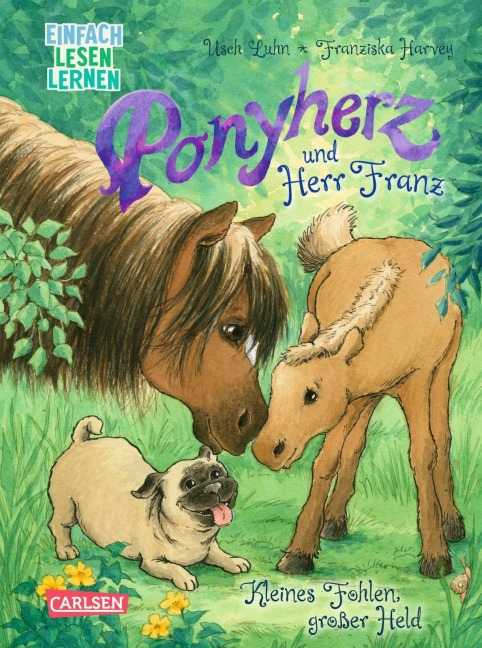 Ponyherz und Herr Franz: Kleines Fohlen, großer Held - Usch Luhn