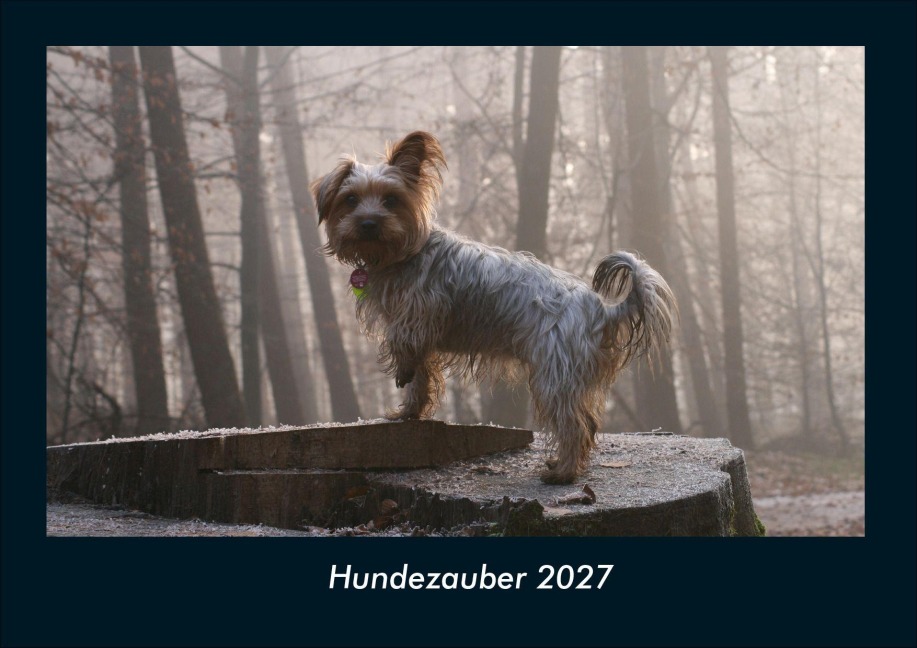 Hundezauber 2027 Fotokalender DIN A4 - Tobias Schmitt, Kevin Heber