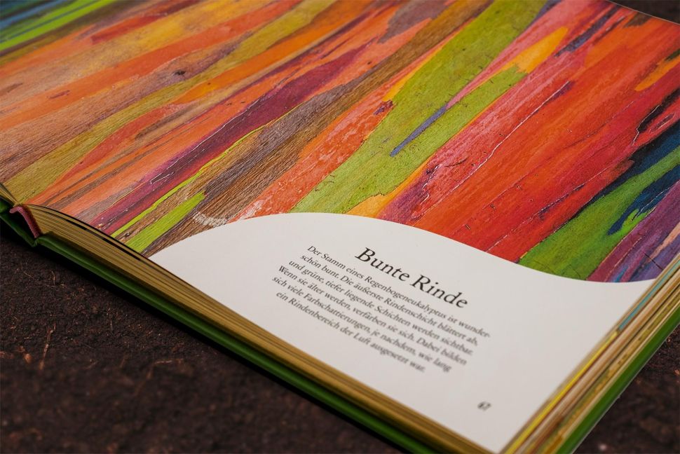 InsideView 11