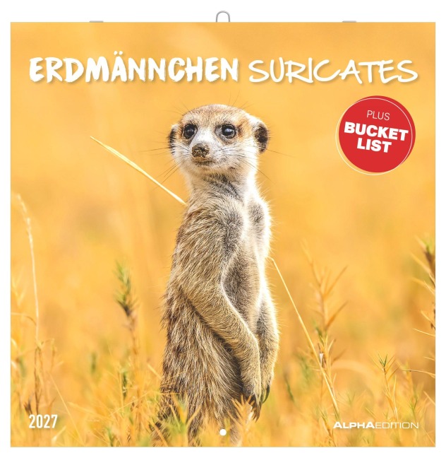 Erdmännchen 2027 - 