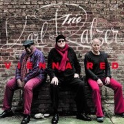 Cover-Bild zum Titel 'Vienna Red' von 'Karl Trio Ratzer'