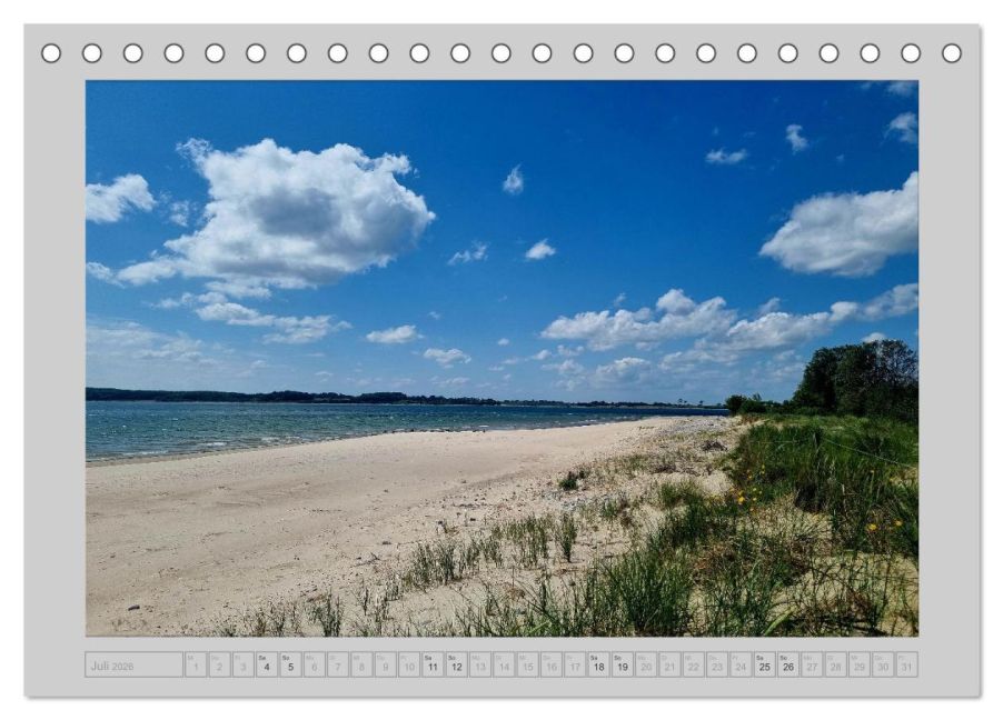 InsideView 12