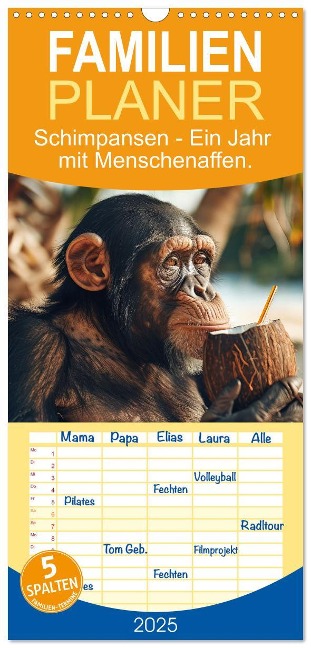 Familienplaner 2025 - Schimpansen - Ein Jahr mit Menschenaffen. mit 5 Spalten (Wandkalender, 21 x 45 cm) CALVENDO - Peter R. Stuhlmann