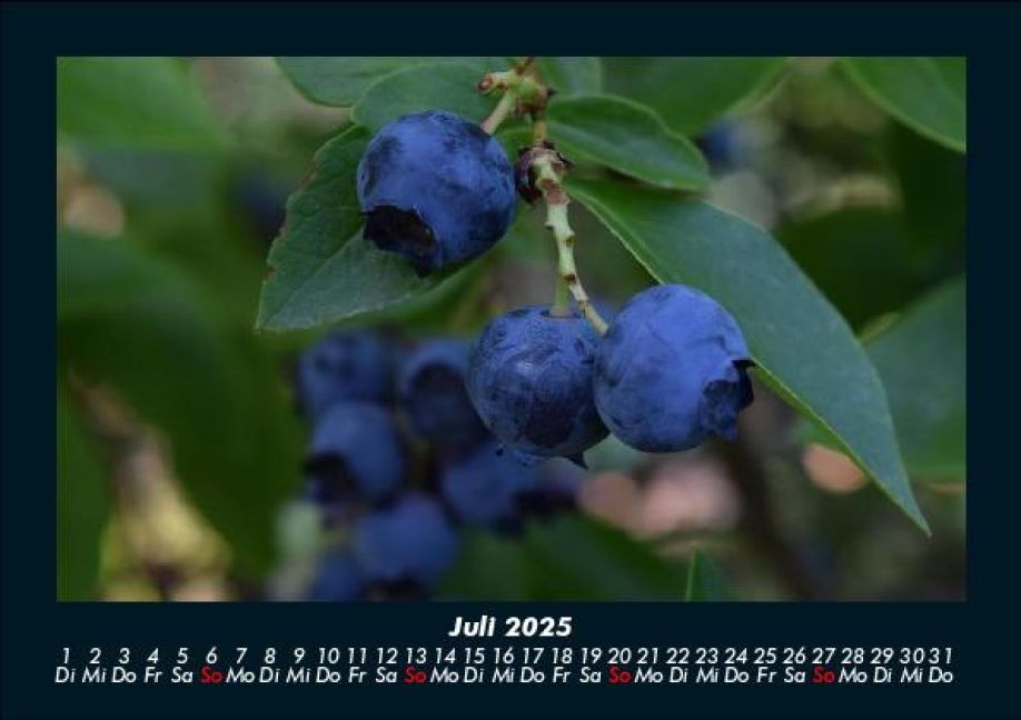 InsideView 11