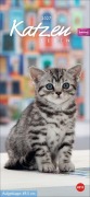 Cover-Bild zum Titel 'Whiskas Katzenleben Kalender 2027' von ''