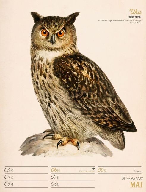 InsideView 22