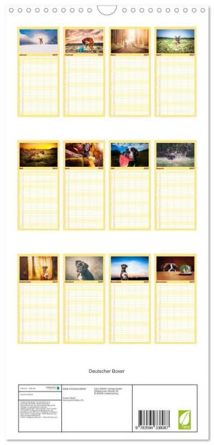 InsideView 4
