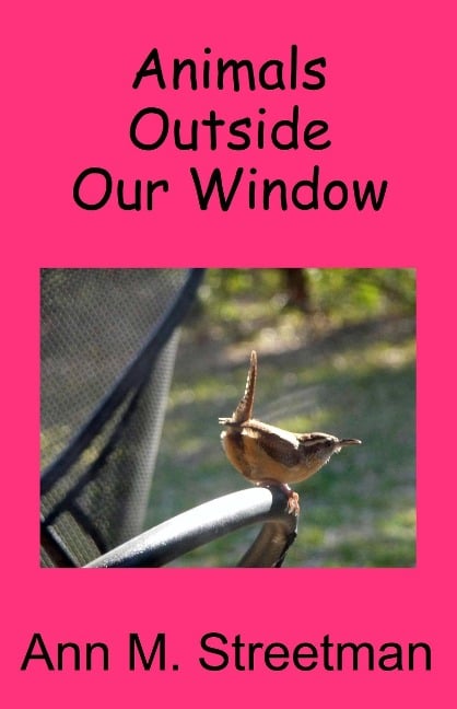Animals Outside Our Window - Ann M Streetman