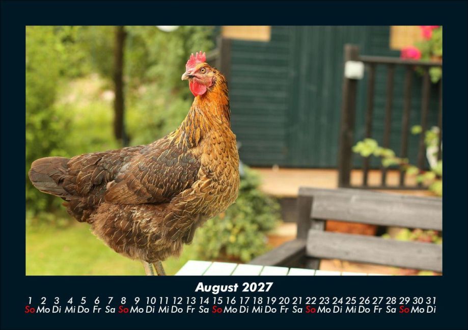 InsideView 12