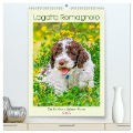 Lagotto Romagnolo - Der Trüffelhund Italiens - Planer (hochwertiger Premium Wandkalender 2025 DIN A2 hoch), Kunstdruck in Hochglanz - Sigrid Starick