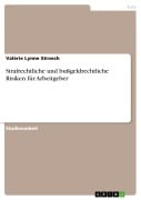 Cover-Bild zum Titel 'Strafrechtliche und bußgeldrechtliche Risiken für Arbeitgeber' von 'Valérie Lynne Stroech'
