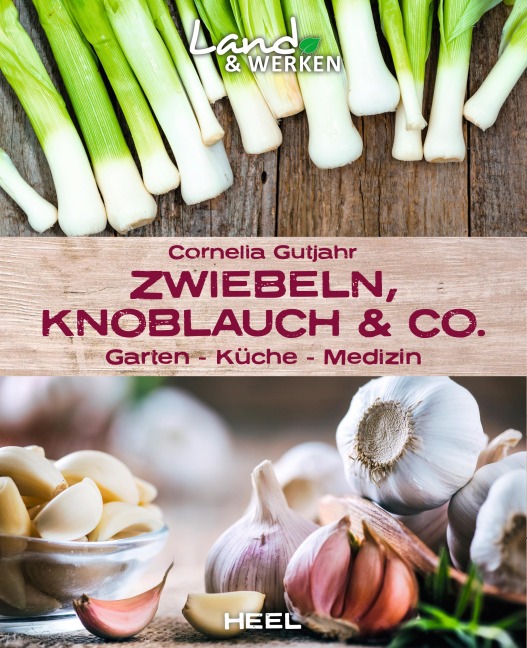 Zwiebeln, Knoblauch & Co. - Garten - Küche - Medizin - Cornelia Gutjahr