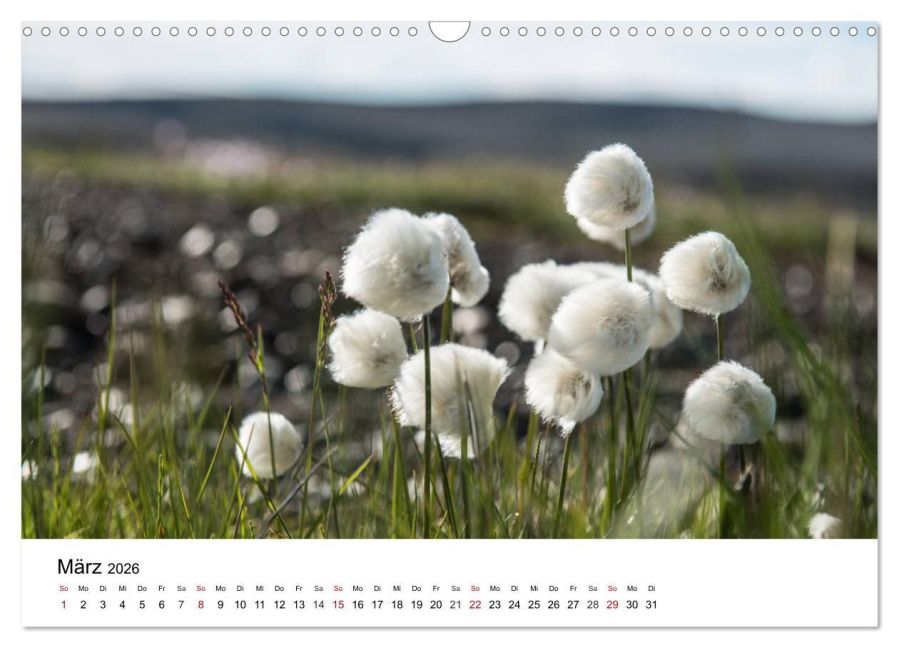 InsideView 8