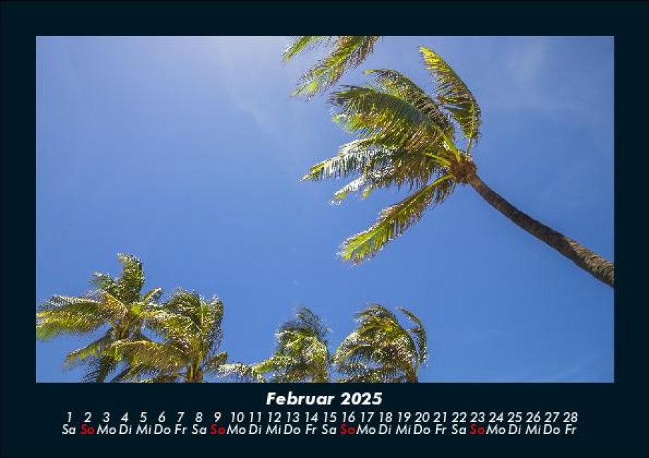 InsideView 6