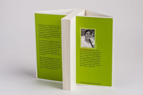 InsideView 2