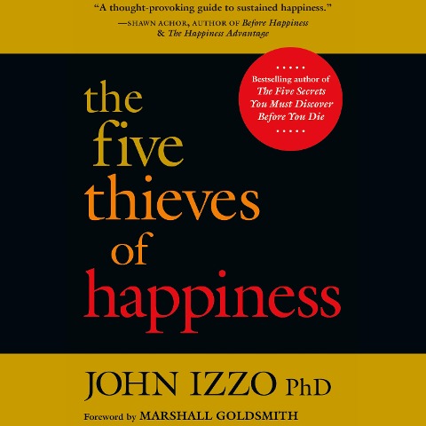 The Five Thieves of Happiness - John B. Izzo Ph. D.
