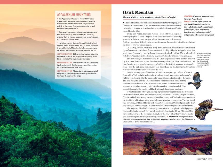 InsideView 4