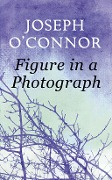 Figure in a Photograph: A Short Story from 'Where Have You Been?' - Joseph O'Connor