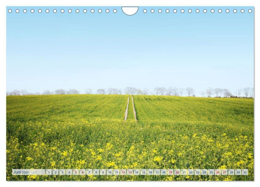 InsideView 11